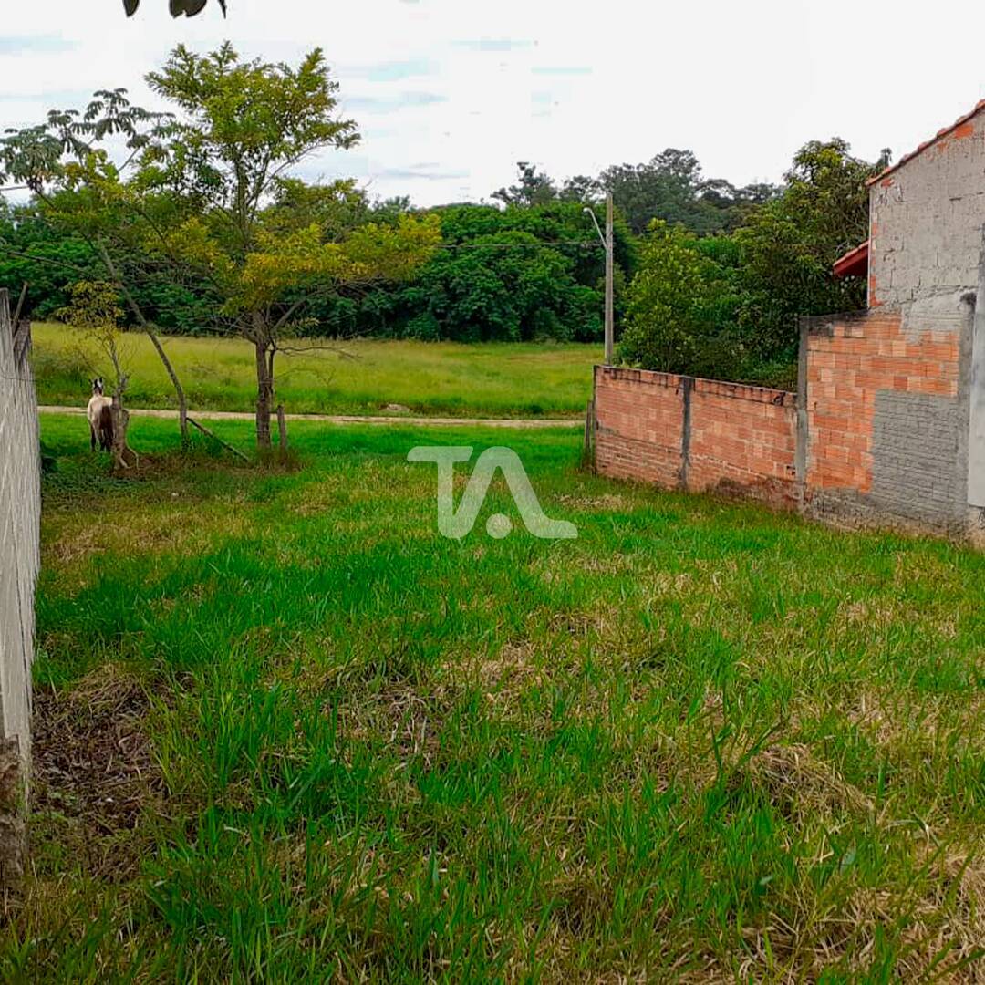 Terreno à venda, 250m² - Foto 1